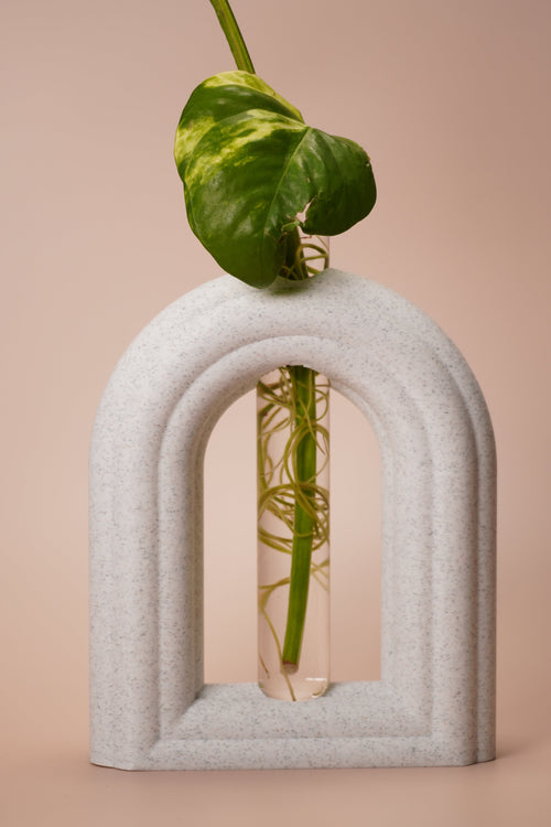 Stem & Bud Propagation Holder