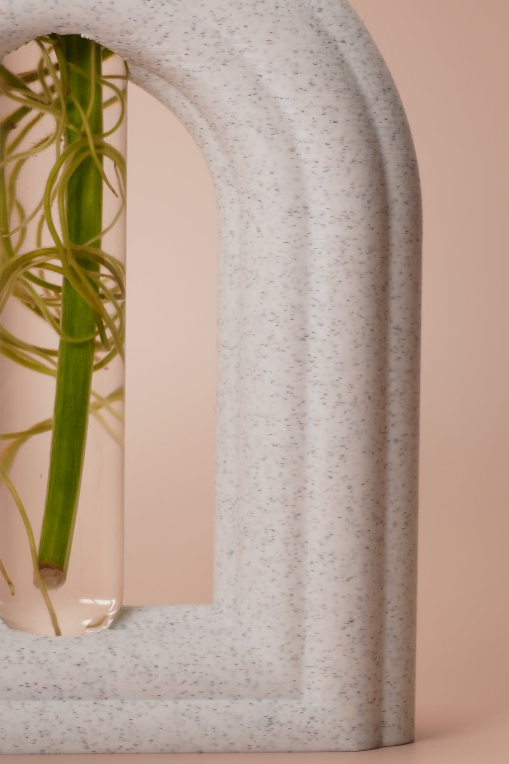 Stem & Bud Propagation Holder