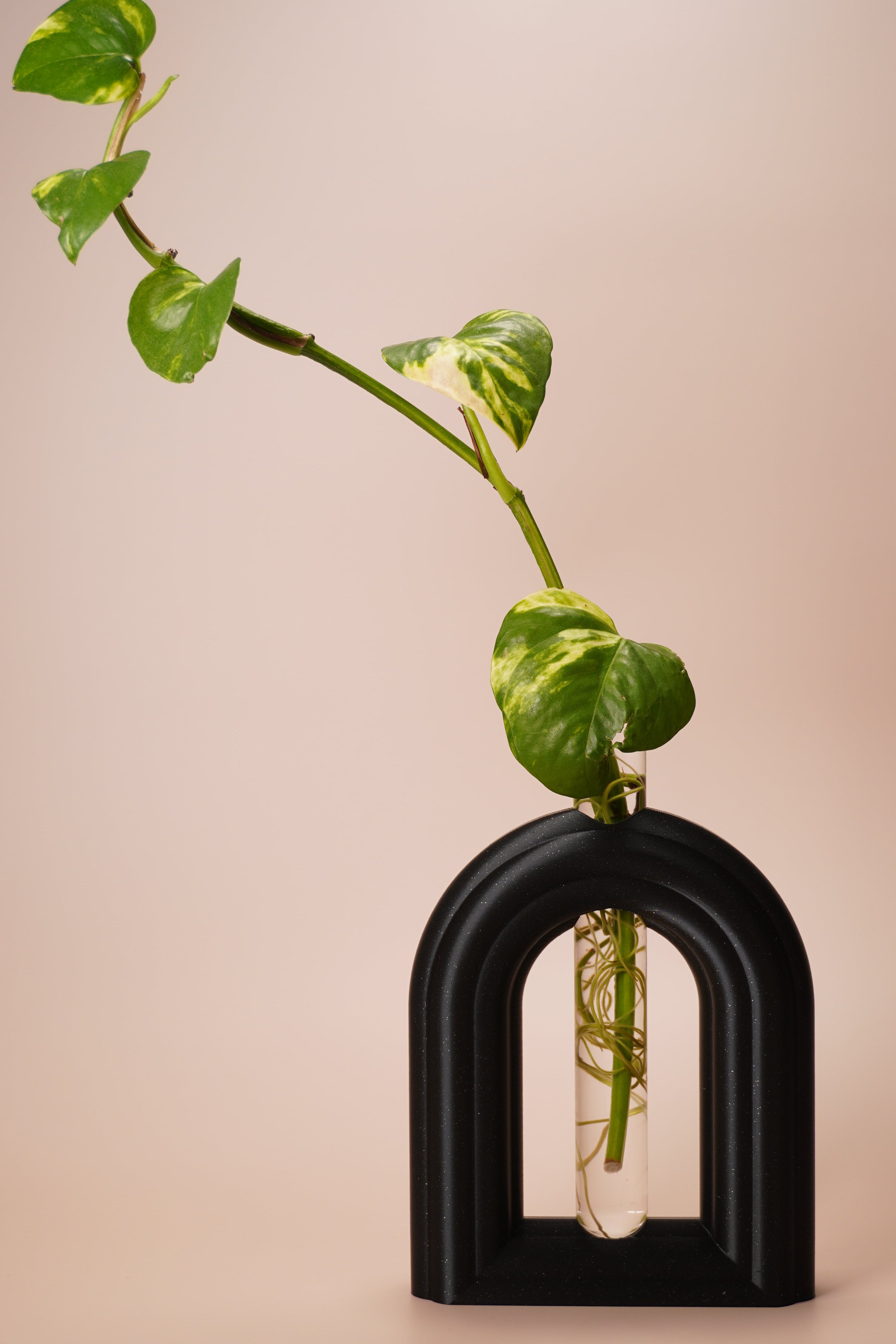 Stem & Bud Propagation Holder