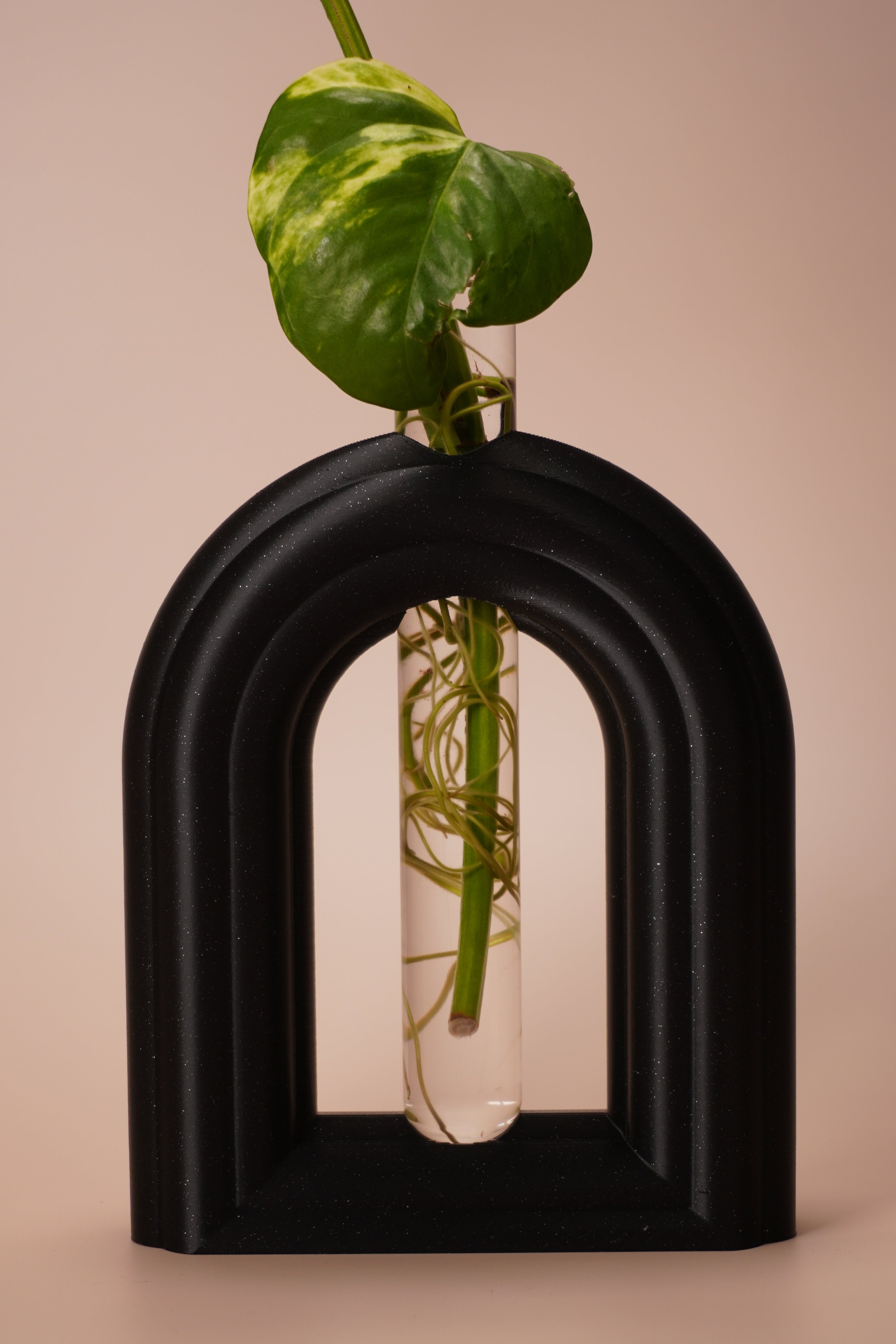 Stem & Bud Propagation Holder