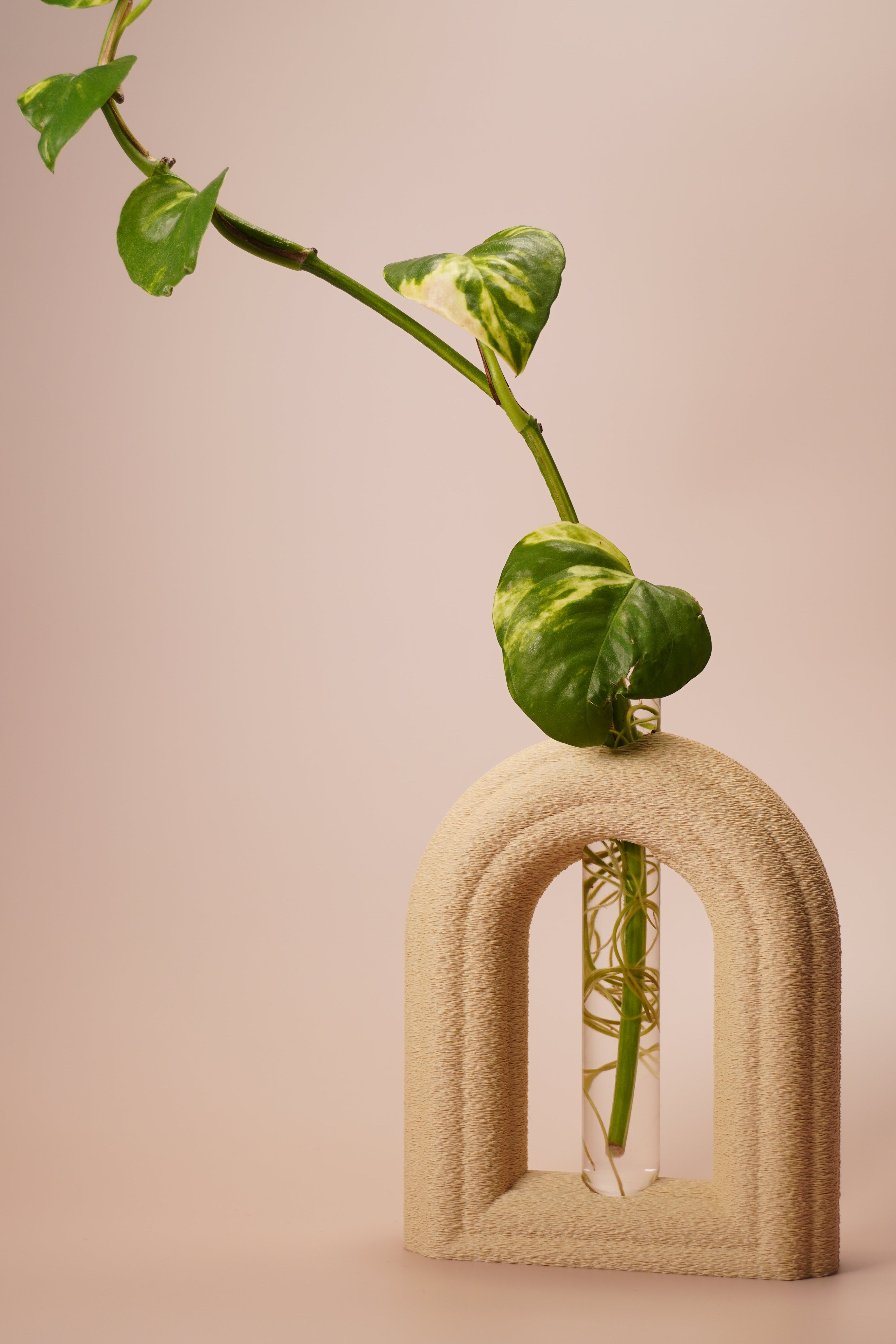 Stem & Bud Propagation Holder