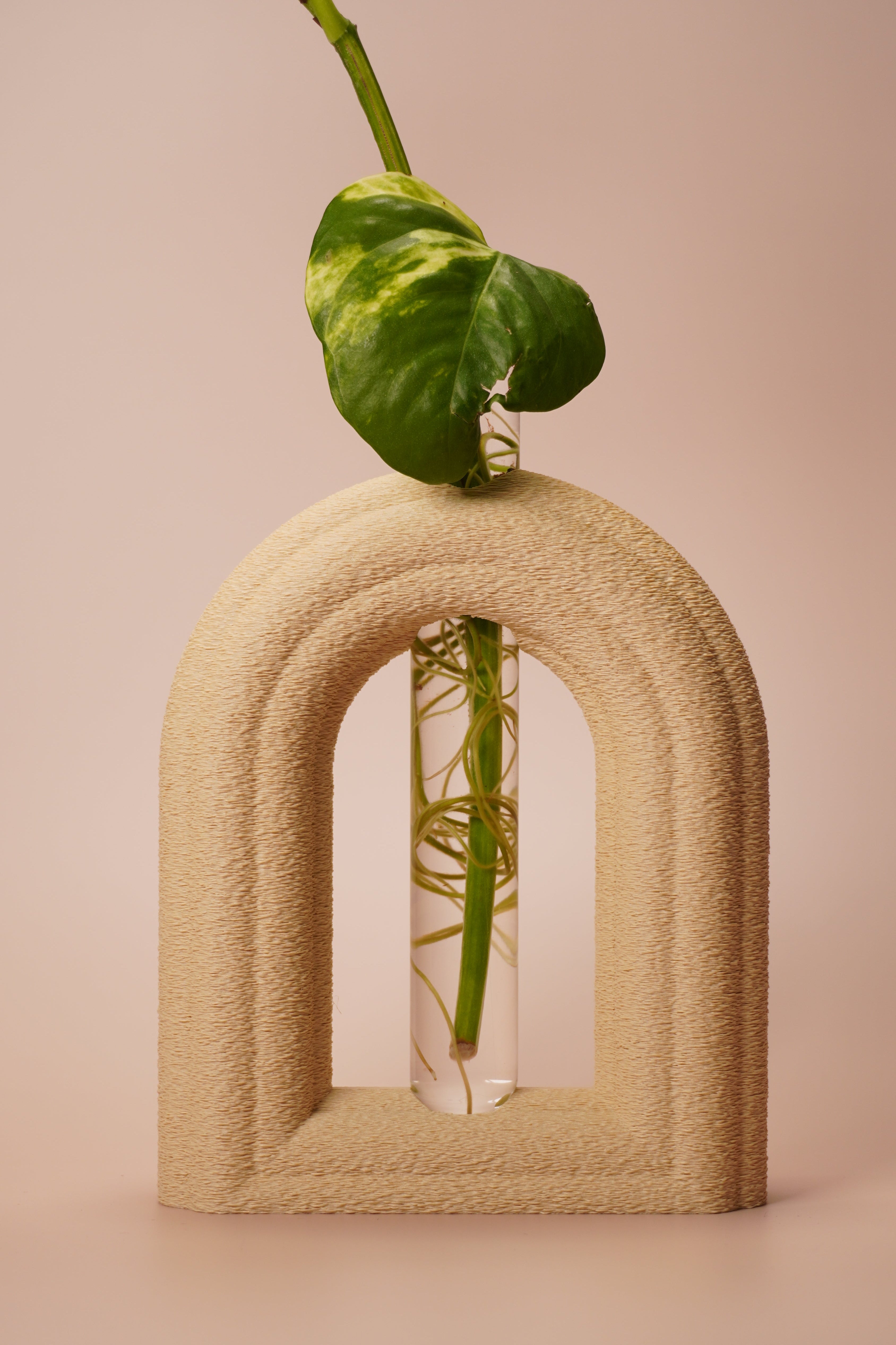 Stem & Bud Propagation Holder