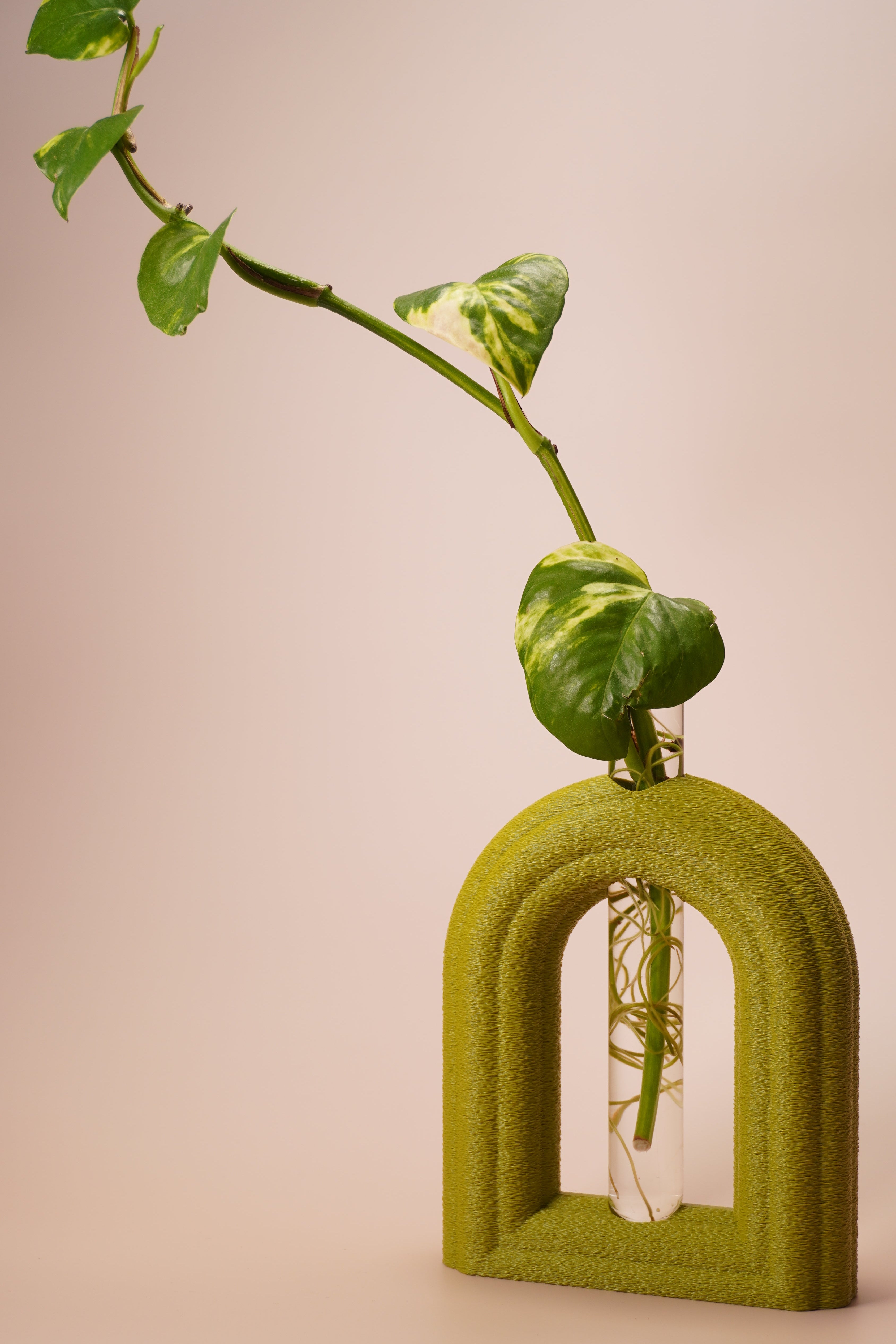 Stem & Bud Propagation Holder