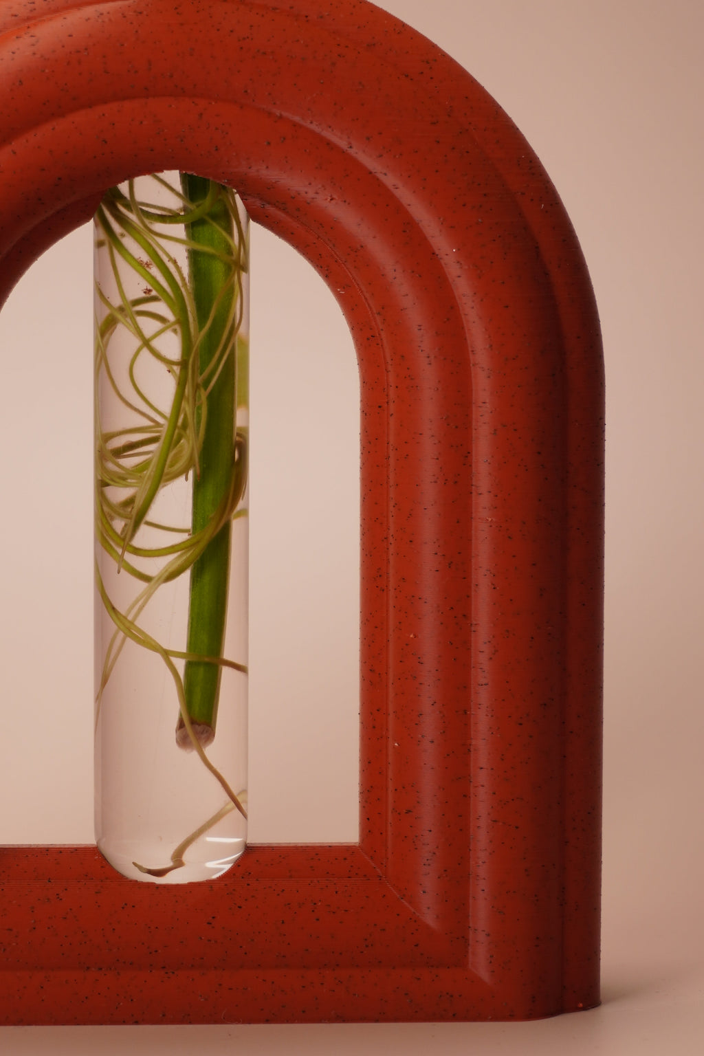 Stem & Bud Propagation Holder