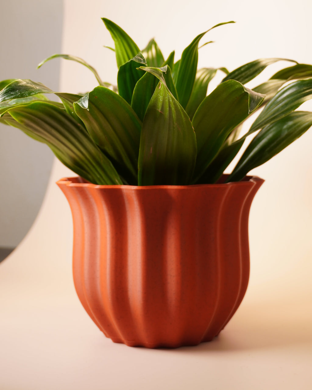 Moody Vase