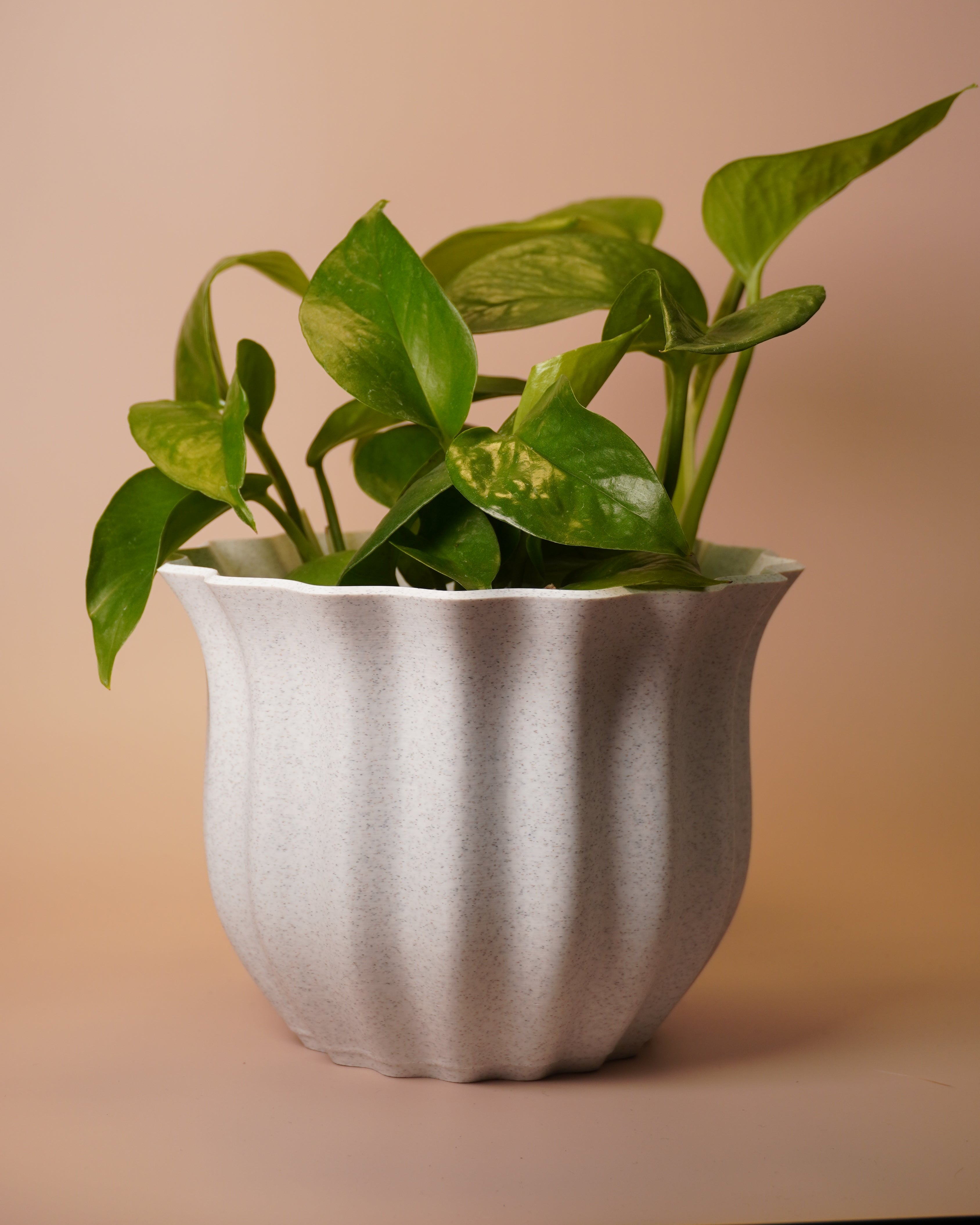 Moody Vase