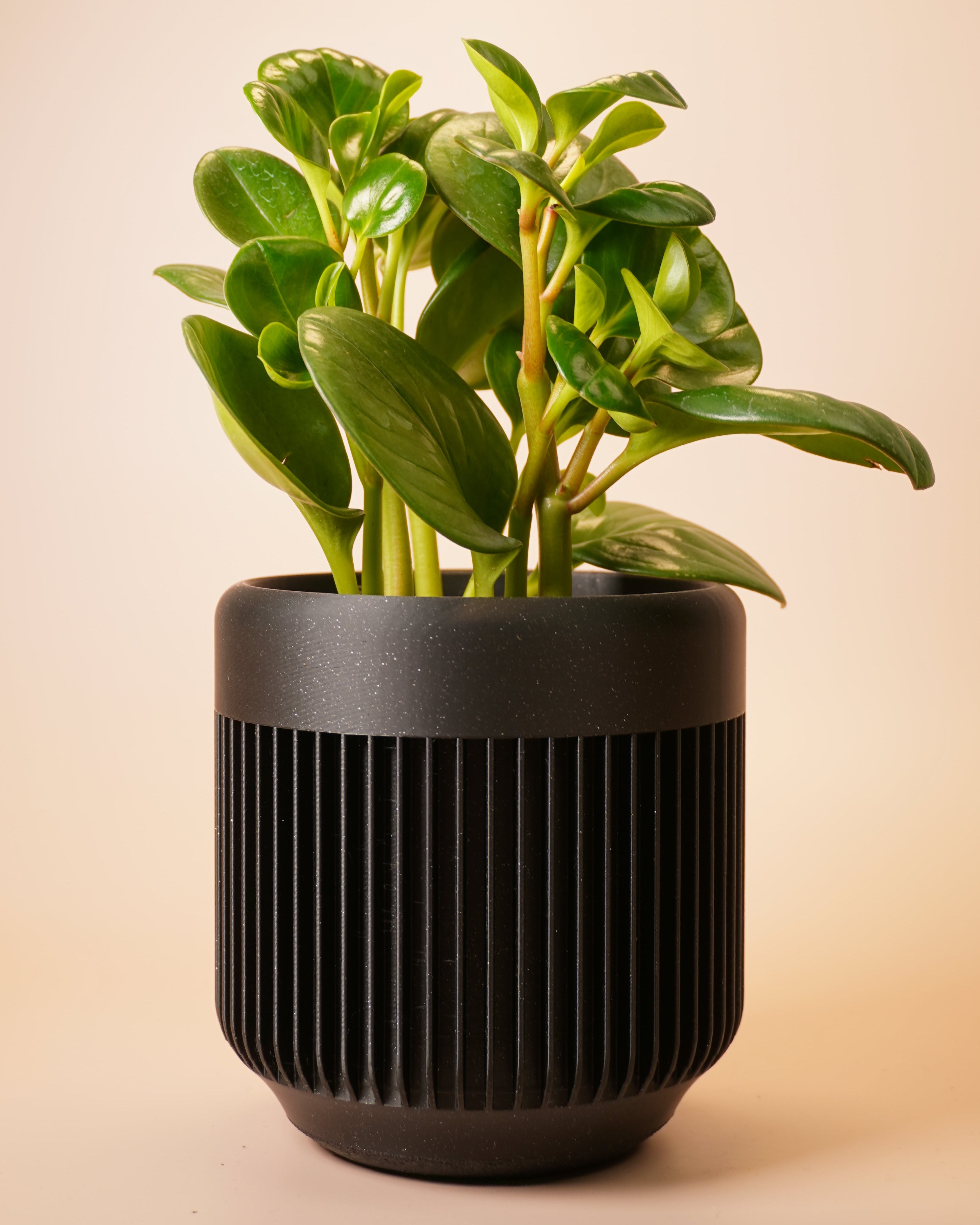 Minimalist Plant Pot