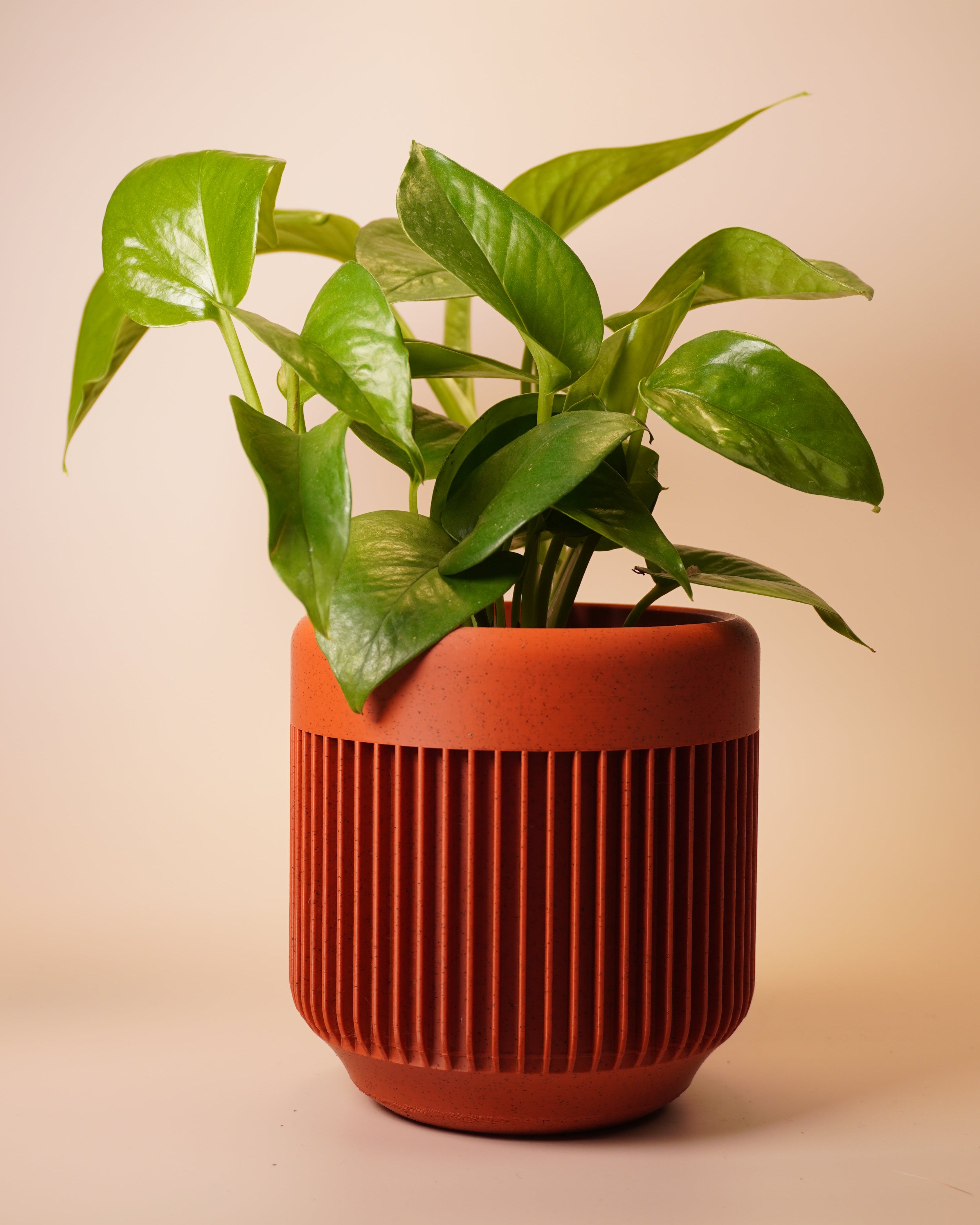 Minimalist Plant Pot