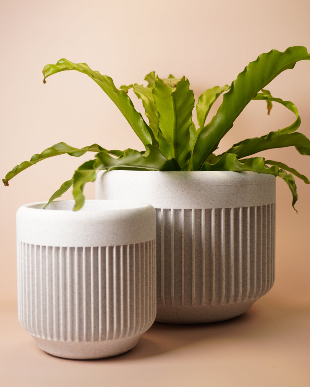 Minimalist Plant Pot