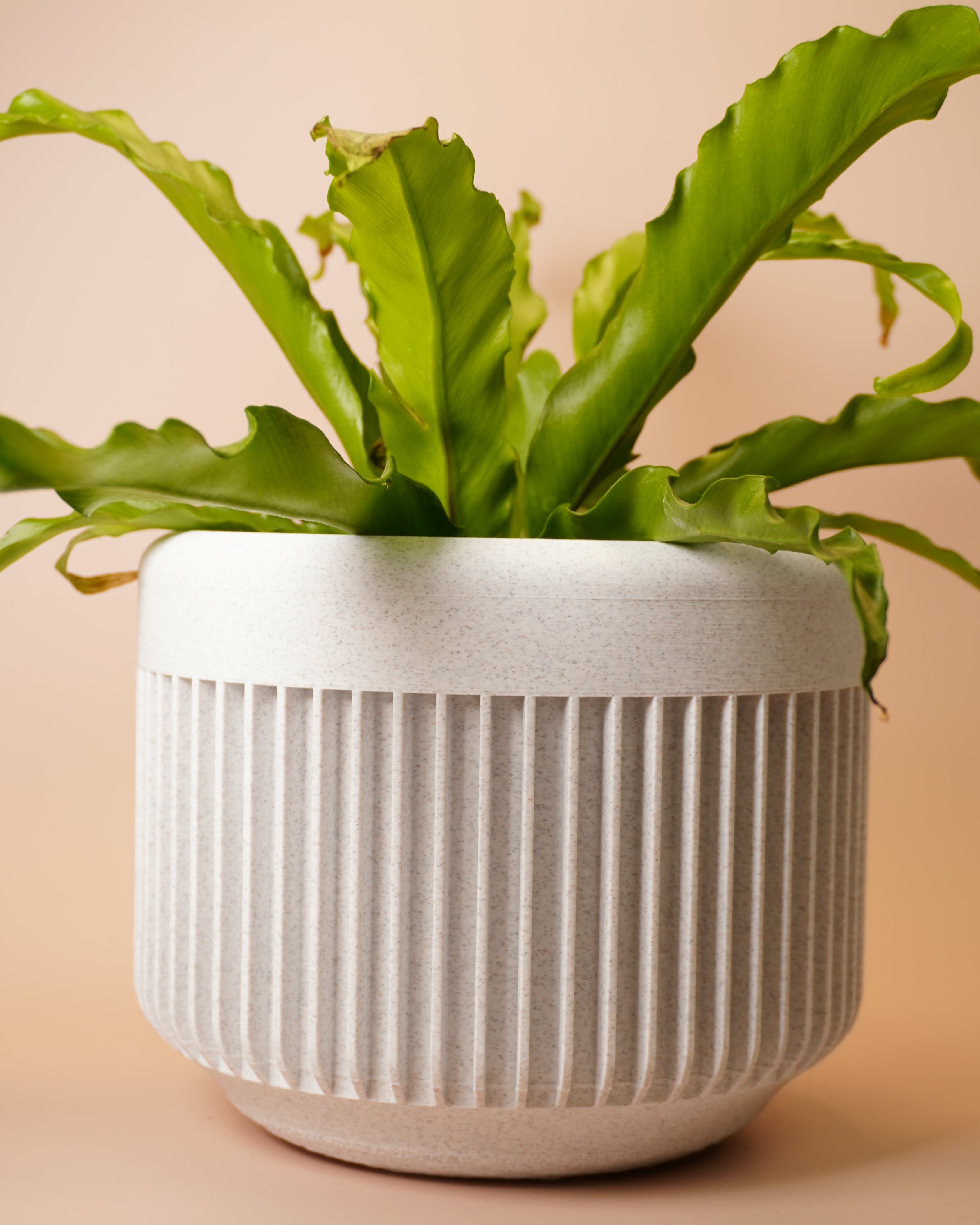 Minimalist Plant Pot