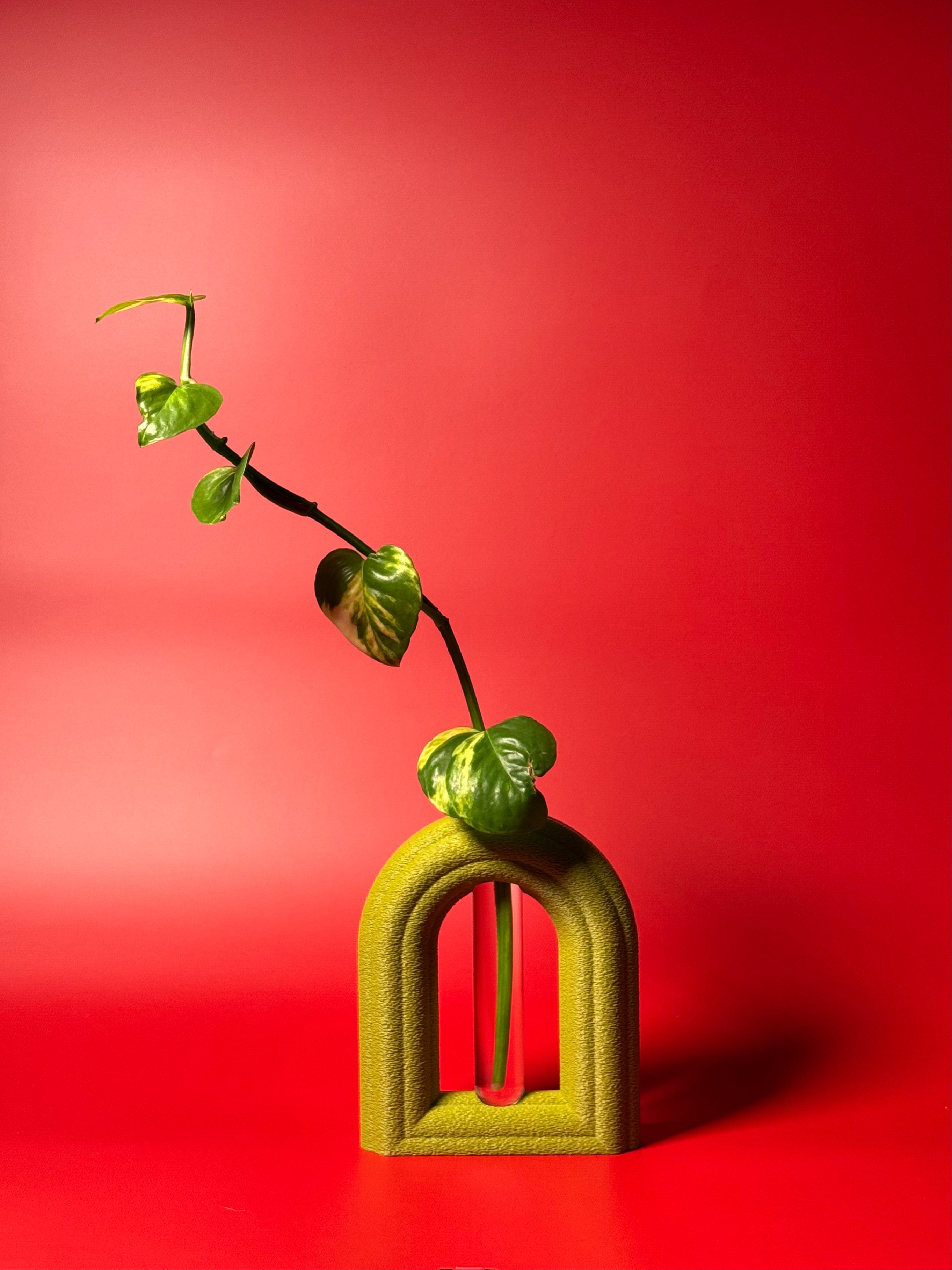 Plant Propagation Vase